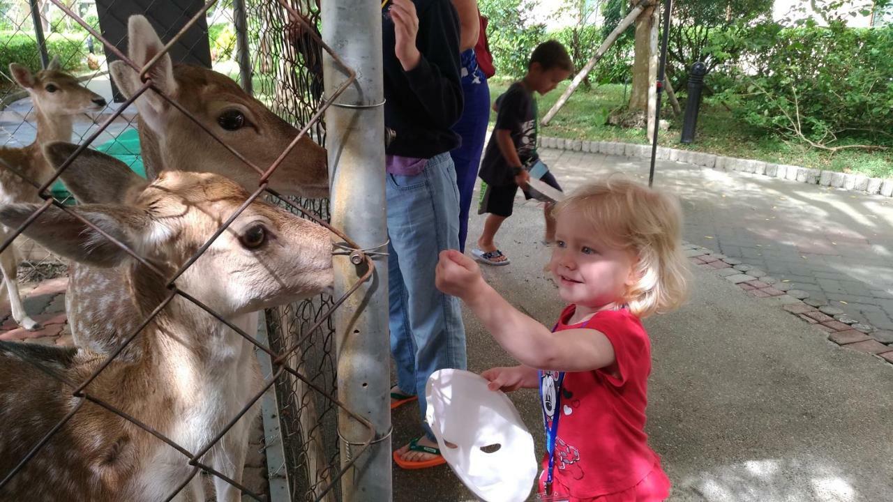 Howard Beach Resort Kenting Exterior foto Feeding the kangaroos